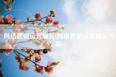 网络营销运营服务(网络营销运营服务方案)