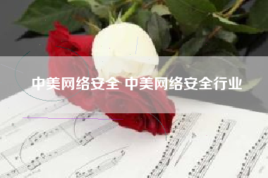 中美网络安全 中美网络安全行业