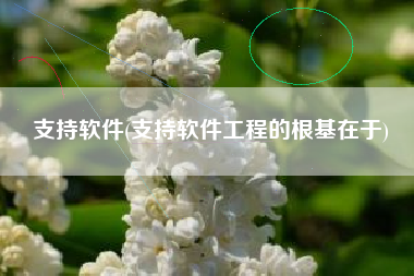 支持软件(支持软件工程的根基在于)