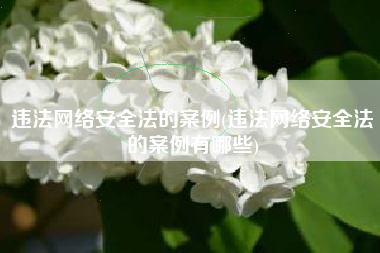 违法网络安全法的案例(违法网络安全法的案例有哪些)