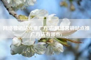 网络营销站点推广方法(网络营销站点推广方法有哪些)