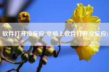软件打开没反应(电脑上软件打开没反应)