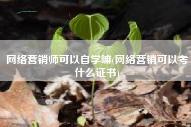 网络营销师可以自学嘛(网络营销可以考什么证书)