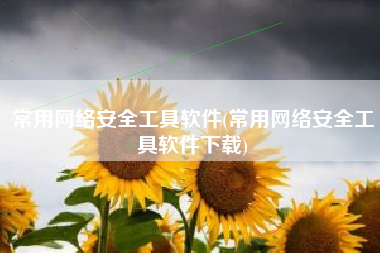 常用网络安全工具软件(常用网络安全工具软件下载)
