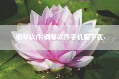 钢琴软件(钢琴软件手机版下载)