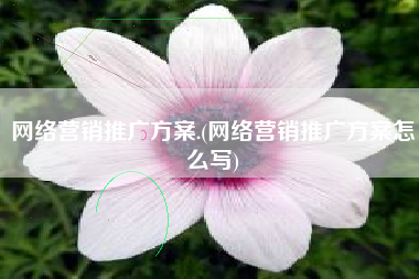 网络营销推广方案.(网络营销推广方案怎么写)