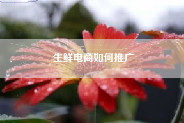 生鲜电商如何推广