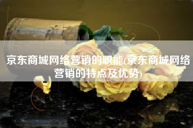 京东商城网络营销的职能(京东商城网络营销的特点及优势)