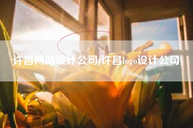 许昌网站设计公司(许昌logo设计公司)