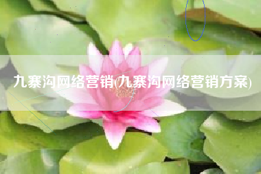 九寨沟网络营销(九寨沟网络营销方案)