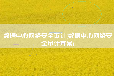 数据中心网络安全审计(数据中心网络安全审计方案)