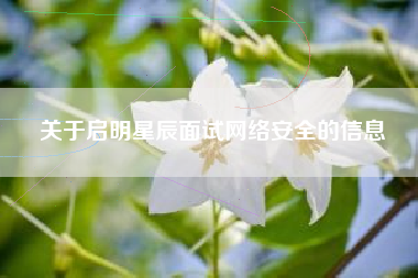 关于启明星辰面试网络安全的信息