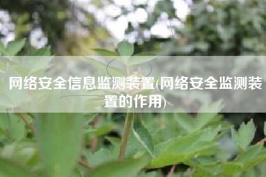 网络安全信息监测装置(网络安全监测装置的作用)