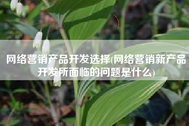 网络营销产品开发选择(网络营销新产品开发所面临的问题是什么)