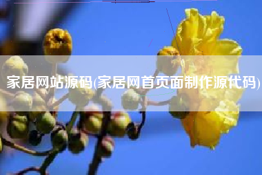 家居网站源码(家居网首页面制作源代码)