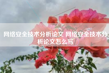 网络安全技术分析论文 网络安全技术分析论文怎么写