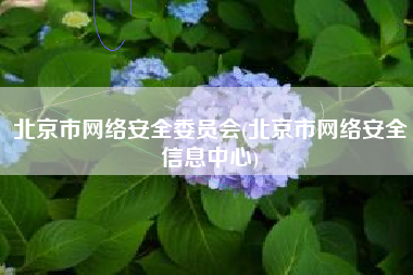 北京市网络安全委员会(北京市网络安全信息中心)