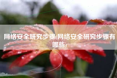 网络安全研究步骤(网络安全研究步骤有哪些)