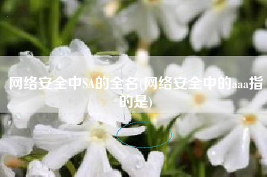 网络安全中SA的全名(网络安全中的aaa指的是)