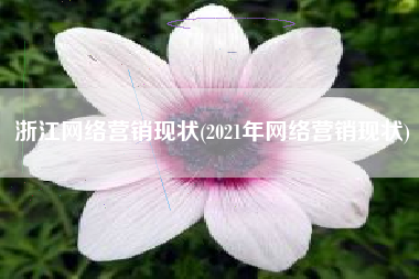 浙江网络营销现状(2021年网络营销现状)