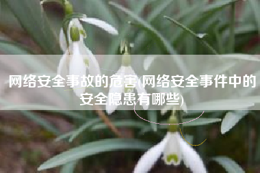 网络安全事故的危害(网络安全事件中的安全隐患有哪些)