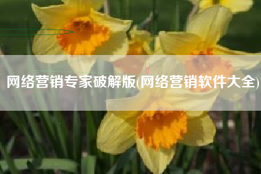 网络营销专家破解版(网络营销软件大全)