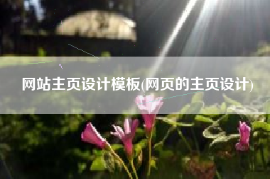 网站主页设计模板(网页的主页设计)