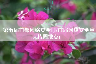 第五届首都网络安全日(首届网络安全宣传周地点)