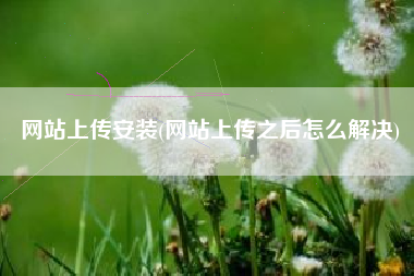 网站上传安装(网站上传之后怎么解决)