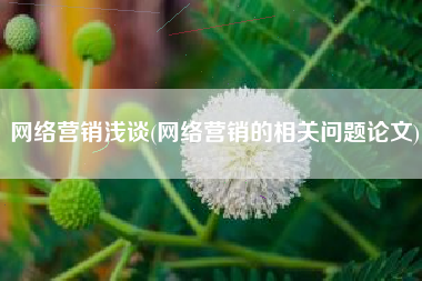 网络营销浅谈(网络营销的相关问题论文)