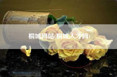 桐城网站(桐城人才网)