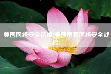 美国网络安全法律(美国国家网络安全战略)