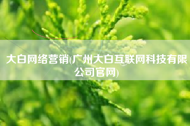 大白网络营销(广州大白互联网科技有限公司官网)