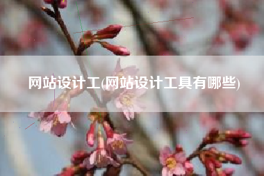 网站设计工(网站设计工具有哪些)