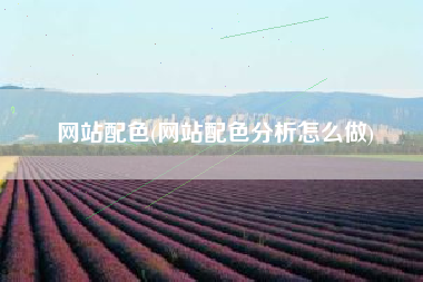 网站配色(网站配色分析怎么做)