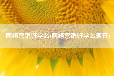 网络营销好学么(网络营销好学么现在)