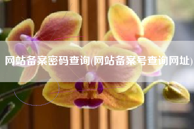 网站备案密码查询(网站备案号查询网址)