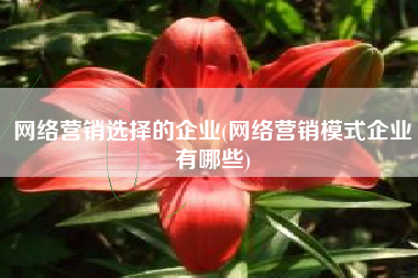 网络营销选择的企业(网络营销模式企业有哪些)