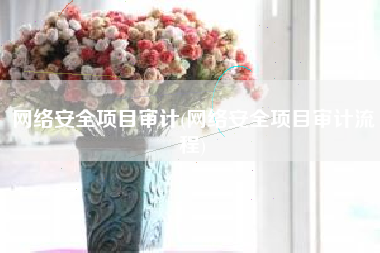 网络安全项目审计(网络安全项目审计流程)