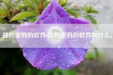 找回密码的软件(找回密码的软件叫什么)
