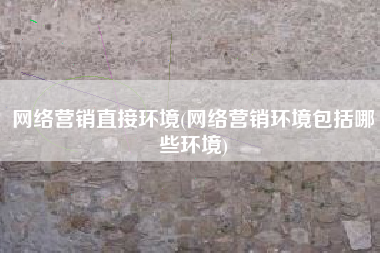 网络营销直接环境(网络营销环境包括哪些环境)