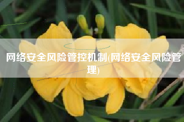 网络安全风险管控机制(网络安全风险管理)