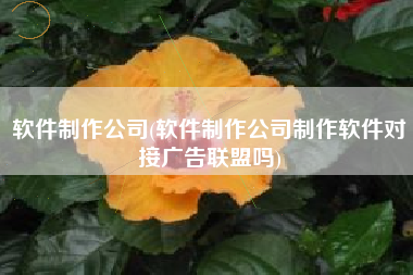 软件制作公司(软件制作公司制作软件对接广告联盟吗)