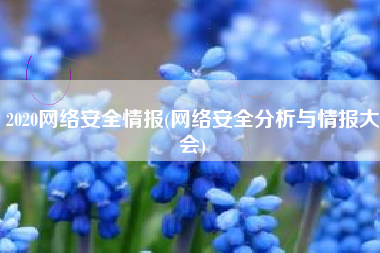 2020网络安全情报(网络安全分析与情报大会)