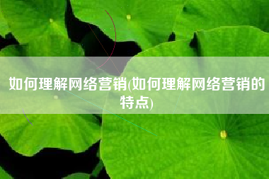 如何理解网络营销(如何理解网络营销的特点)