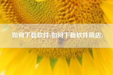 如何下载软件(如何下载软件商店)