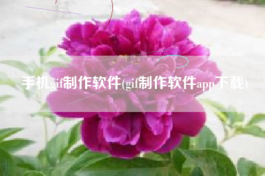 手机gif制作软件(gif制作软件app下载)