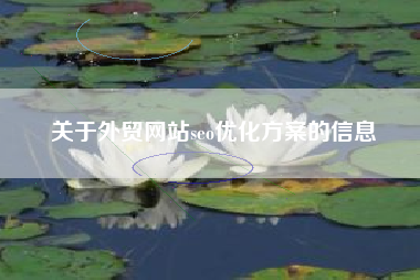 关于外贸网站seo优化方案的信息