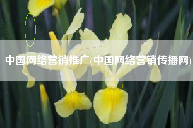 中国网络营销推广(中国网络营销传播网)
