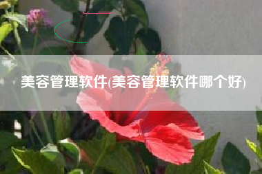 美容管理软件(美容管理软件哪个好)